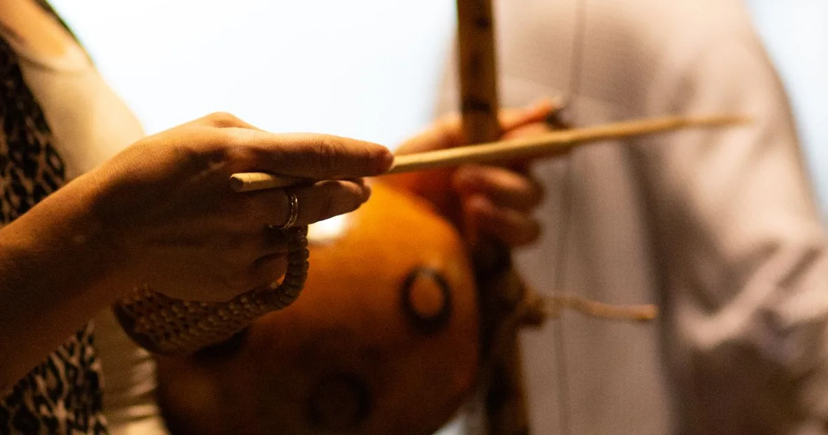 Berimbau wire and gourd