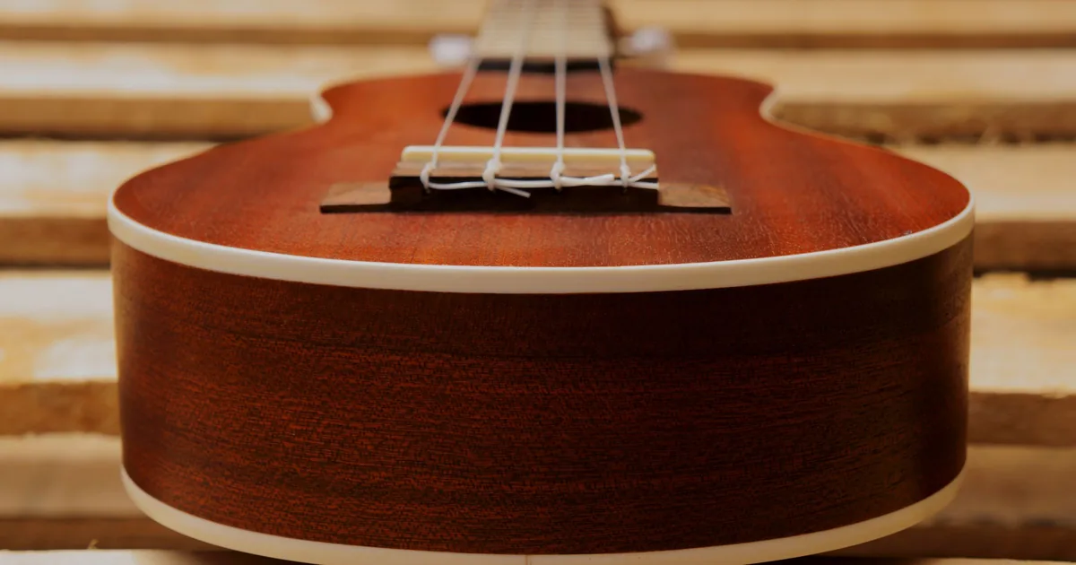 Ukulele fretboard